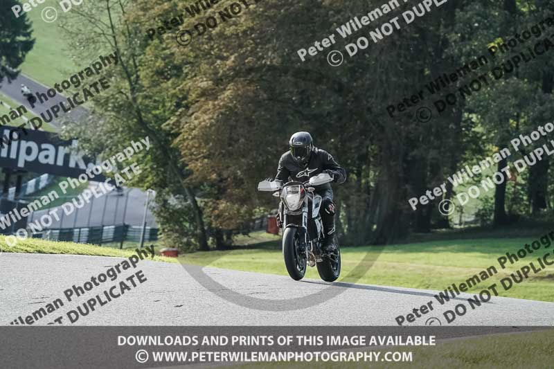 cadwell no limits trackday;cadwell park;cadwell park photographs;cadwell trackday photographs;enduro digital images;event digital images;eventdigitalimages;no limits trackdays;peter wileman photography;racing digital images;snetterton;snetterton no limits trackday;snetterton photographs;snetterton trackday photographs;trackday digital images;trackday photos